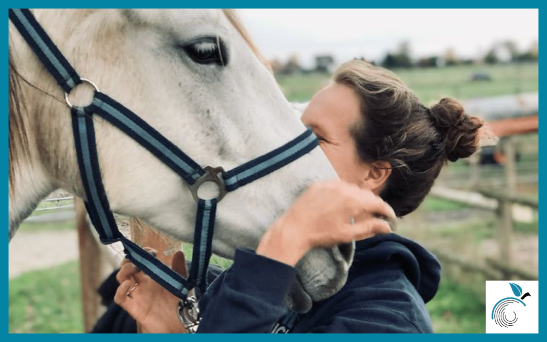 Das Jahresprojekt des Reitvereins Klein Heidorn zur Förderung von Schulpferden